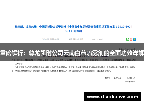 重磅解析：尊龙凯时公司云南白药喷雾剂的全面功效详解