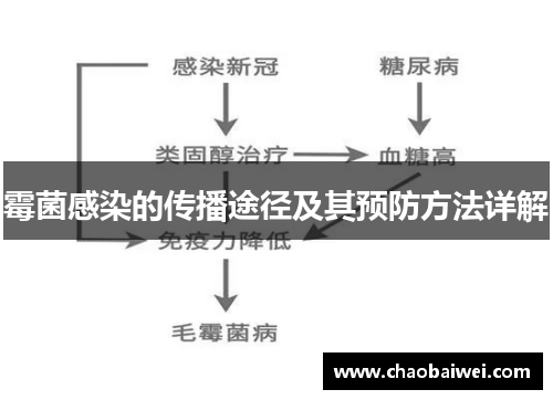 霉菌感染的传播途径及其预防方法详解